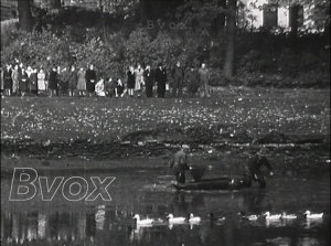 1947- Déménagement des carpes de l’étang du parc Léopold à Bruxelles vers l’étang du square Marie-Louise en vue d’un concours de pêche.
