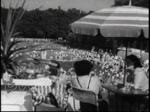 1948- Canicule à Bruxelles avec plus de 40° à l’ombre