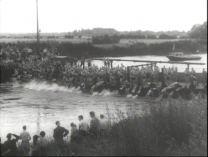 1955- Concours de natation aux Pays-Bas