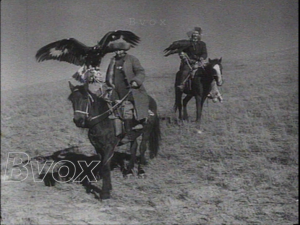 1955-Les meilleurs chasseurs à l’aigle royal du Kazakhstan s’affrontent dans une chasse au loup.