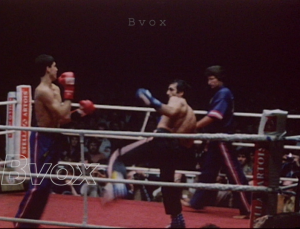 1980-Championnat du monde de karaté (Macaruso Valera) et Championnat de Belgique Super Lourd amateur