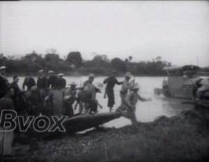 1951- Vietnam : Guerillas en Indochine.
