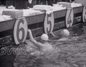 1951- Natation : La fête des Ijsberen à Anvers.