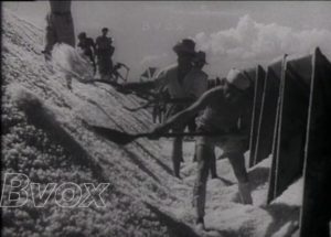 1951- Aux nouvelles salines de Murcia.