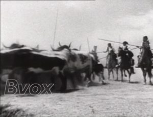 1949- Fête pittoresques dans les plaines de Villafranca de Xiras, au Portugal.