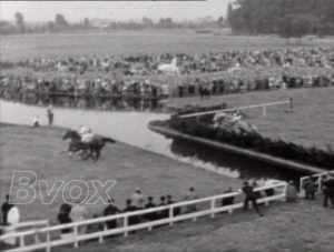 1949- Hippisme steeple chase : Course d’obstacle à Waereghem.