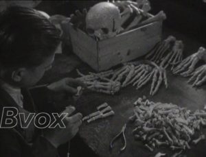1951- Médecine : Squelettes humains fabriqués en série.