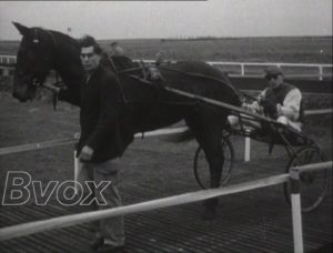 1951- Hippisme : Ouverture de l’hippodrome de Sterrebeek.